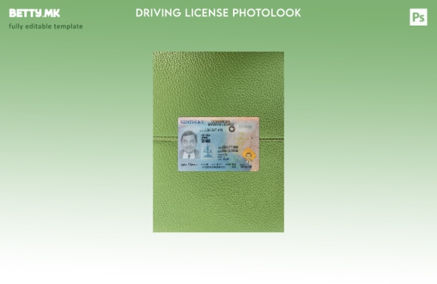 Возачка дозвола во модерен стил на САД Кентаки го претставува предниот шаблон  1